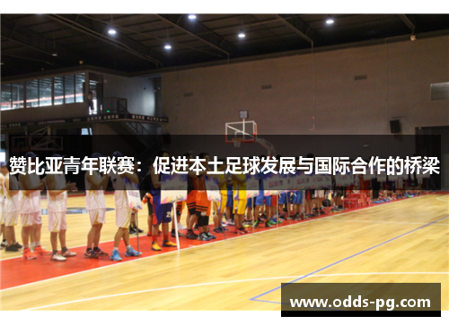 赞比亚青年联赛：促进本土足球发展与国际合作的桥梁