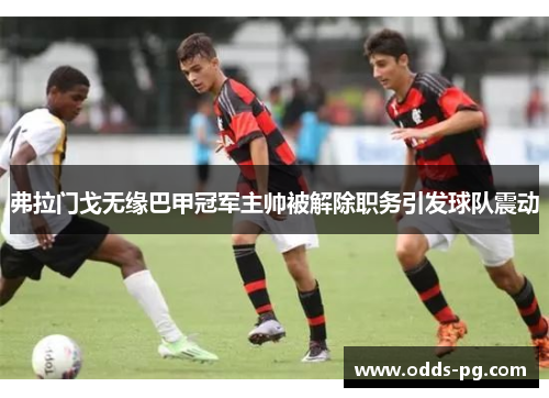 弗拉门戈无缘巴甲冠军主帅被解除职务引发球队震动